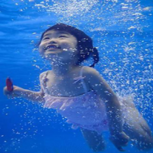 今年加盟贝贝旺婴幼儿游泳可以吗？多少钱合适？