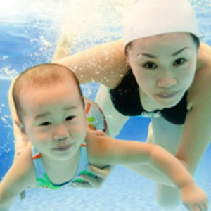 今年加盟家盒子婴幼儿游泳馆可以吗？多少钱合适？