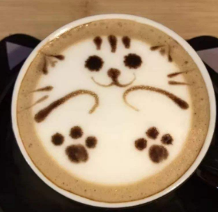 奶猫奶茶加盟信息介绍，让您创业先走一步！