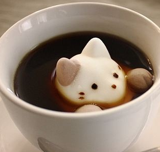 奶猫奶茶加盟能给加盟商带来哪些优势？