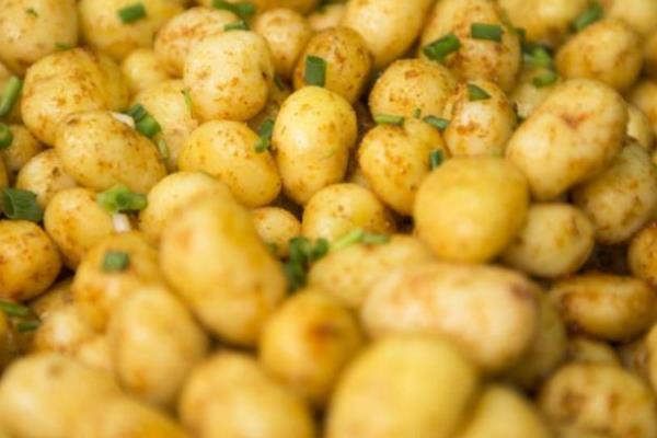 神农架绝味炕土豆加盟