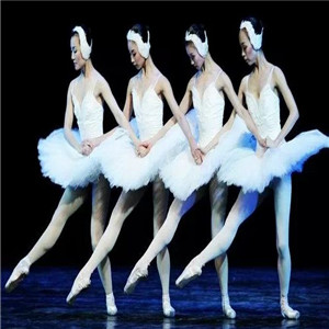 培蕾国际芭蕾舞加盟