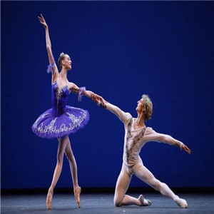 培蕾国际芭蕾舞加盟和其他教育加盟品牌有哪些区别？培蕾国际芭蕾舞品牌优势在哪里？