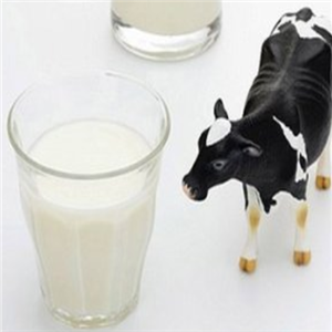 蒙牛鲜奶加盟费用多少？饮品加盟选它合适吗？