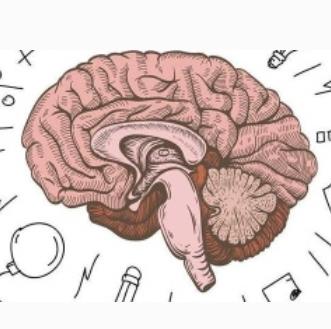 忆发图强全脑潜能教育加盟费用多少？全脑开发加盟选它合适吗？