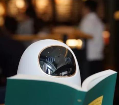 阿尔法蛋机器人加盟和其他教育加盟品牌有哪些区别？阿尔法蛋机器人品牌优势在哪里？