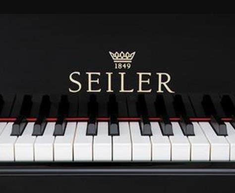 我要加盟赛乐尔钢琴，需要多少钱啊？
