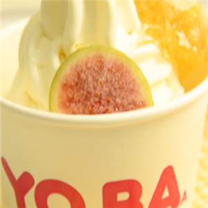yoba酸奶加盟费用知多少？详情参考yoba酸奶介绍