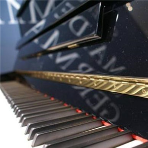 我要加盟赛乐尔钢琴教育，需要多少钱啊？