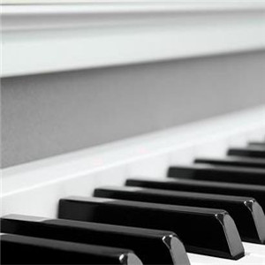 theone钢琴培训加盟，零经验轻松经营好品牌！