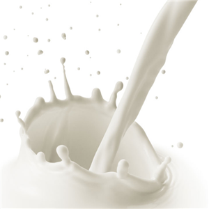 维记鲜牛奶加盟需要哪些条件？人人都可以加盟维记鲜牛奶吗？