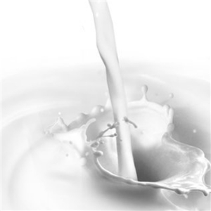 祁牧纯牛奶加盟条件有哪些？加盟祁牧纯牛奶的加盟商能否获取利润？