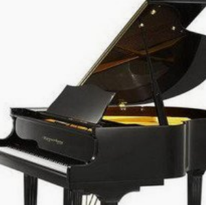珠江恺撒堡钢琴加盟费用多少？音乐培训加盟选它合适吗？