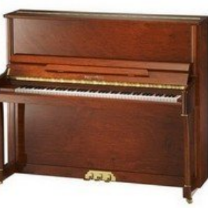 我有5~10万元钱，做音乐培训加盟，选择珠江恺撒堡钢琴加盟怎么样？