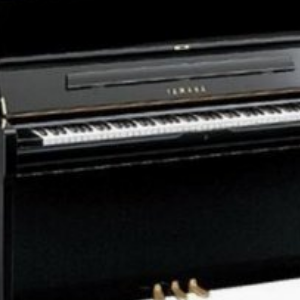 我要加盟长江钢琴，需要多少钱啊？