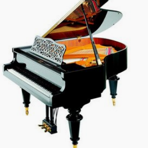 佩卓夫钢琴加盟费用多少？音乐培训加盟选它合适吗？