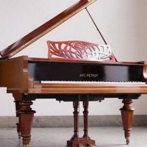 佩卓夫钢琴加盟费用多少？音乐培训加盟选它合适吗？