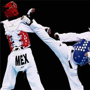 韩武跆拳道加盟和其他教育加盟品牌有哪些区别？韩武跆拳道品牌优势在哪里？