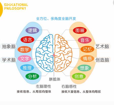 张学新全脑教育加盟需要哪些条件？人人都可以加盟张学新全脑教育吗？