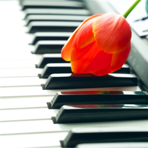 星巴星钢琴加盟优势有哪些？了解优势从星巴星钢琴介绍下手