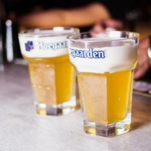 Hoegaarden啤酒加盟费用多少？啤酒加盟选它合适吗？
