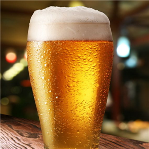 加盟杰安德国啤酒你知道哪些优势？