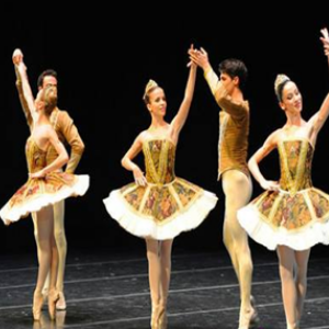 皇家芭蕾舞加盟和其他教育加盟品牌有哪些区别？皇家芭蕾舞品牌优势在哪里？