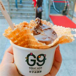 G 9分子冰淇淋加盟