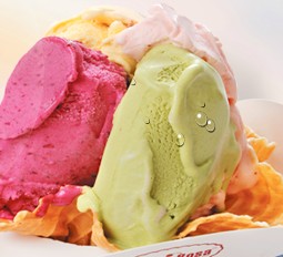 庞德罗莎冰淇淋加盟