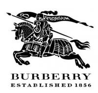 Burberry童装加盟