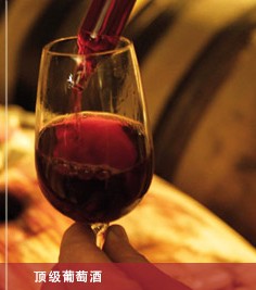 帕缇亚葡萄酒加盟信息介绍，让您创业先走一步！